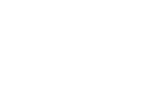Carrier logo