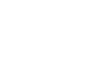 Carrier logo